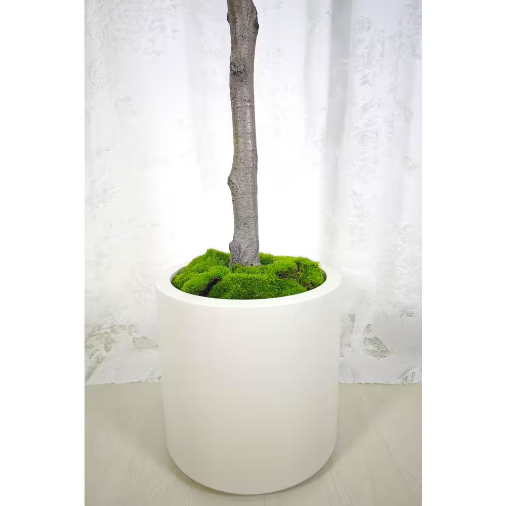 6.5 Ft. Artificial Olive Tree in White Decor Pot, Faux Green Plant Indoor Home Decorative Planter