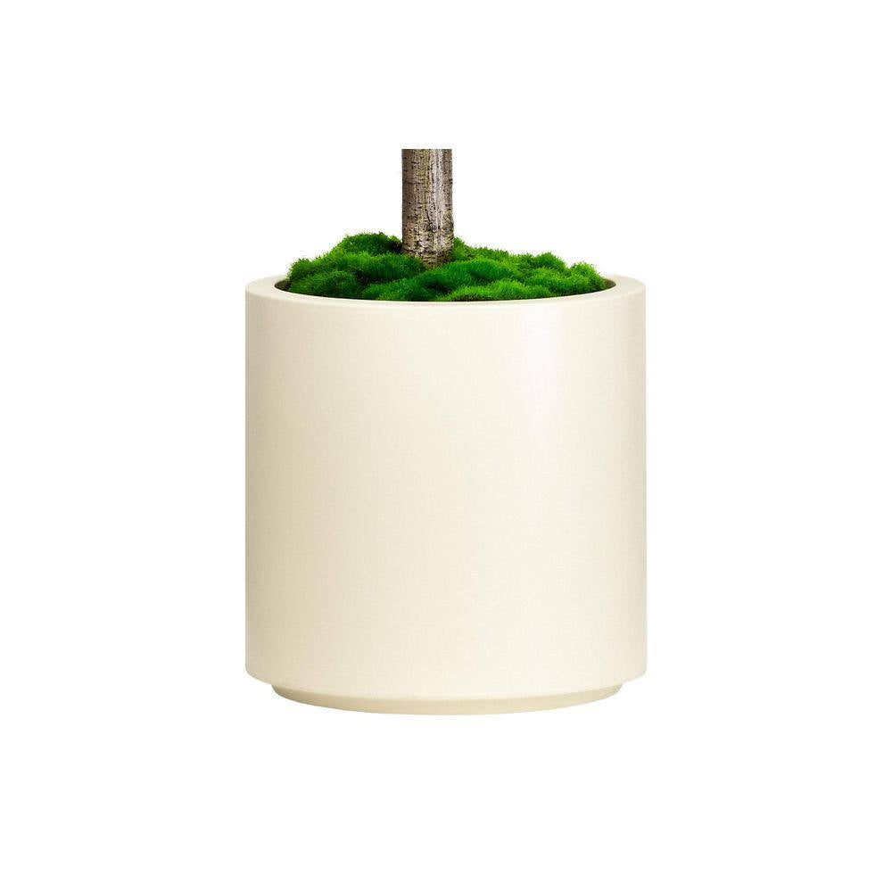 6.5 Ft. Artificial Olive Tree in White Decor Pot, Faux Green Plant Indoor Home Decorative Planter